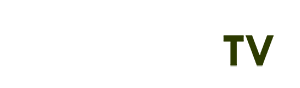 hiển