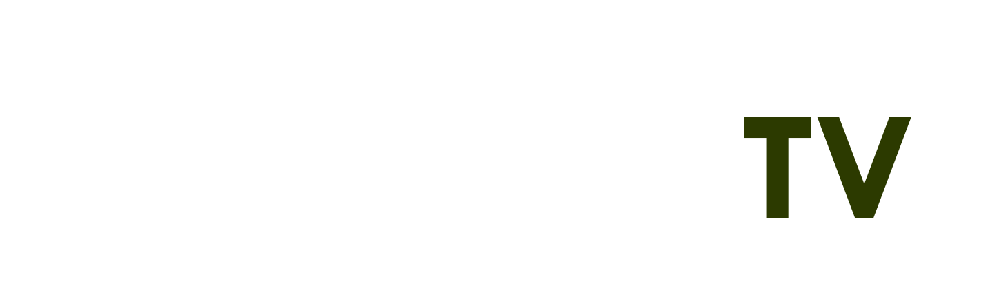 Cổ Phiếu Tcb - hiển